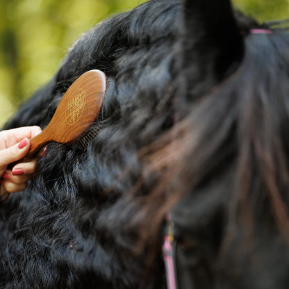 Mane & Tail Brush