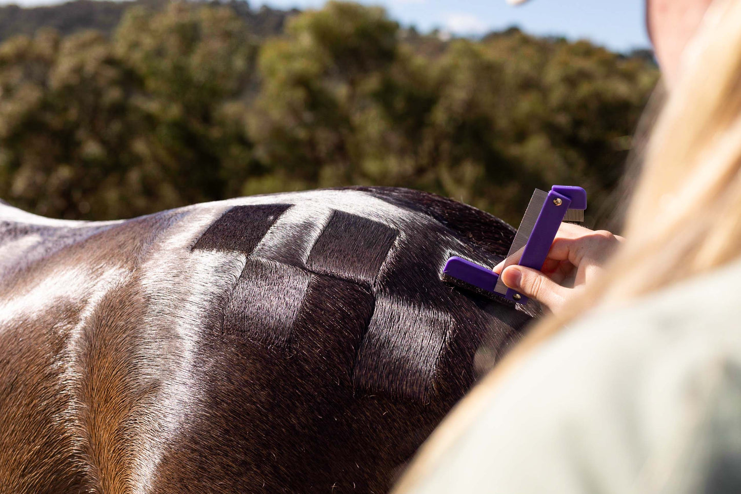 Quarter Mark Horse Comb