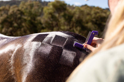 Quarter Mark Horse Comb