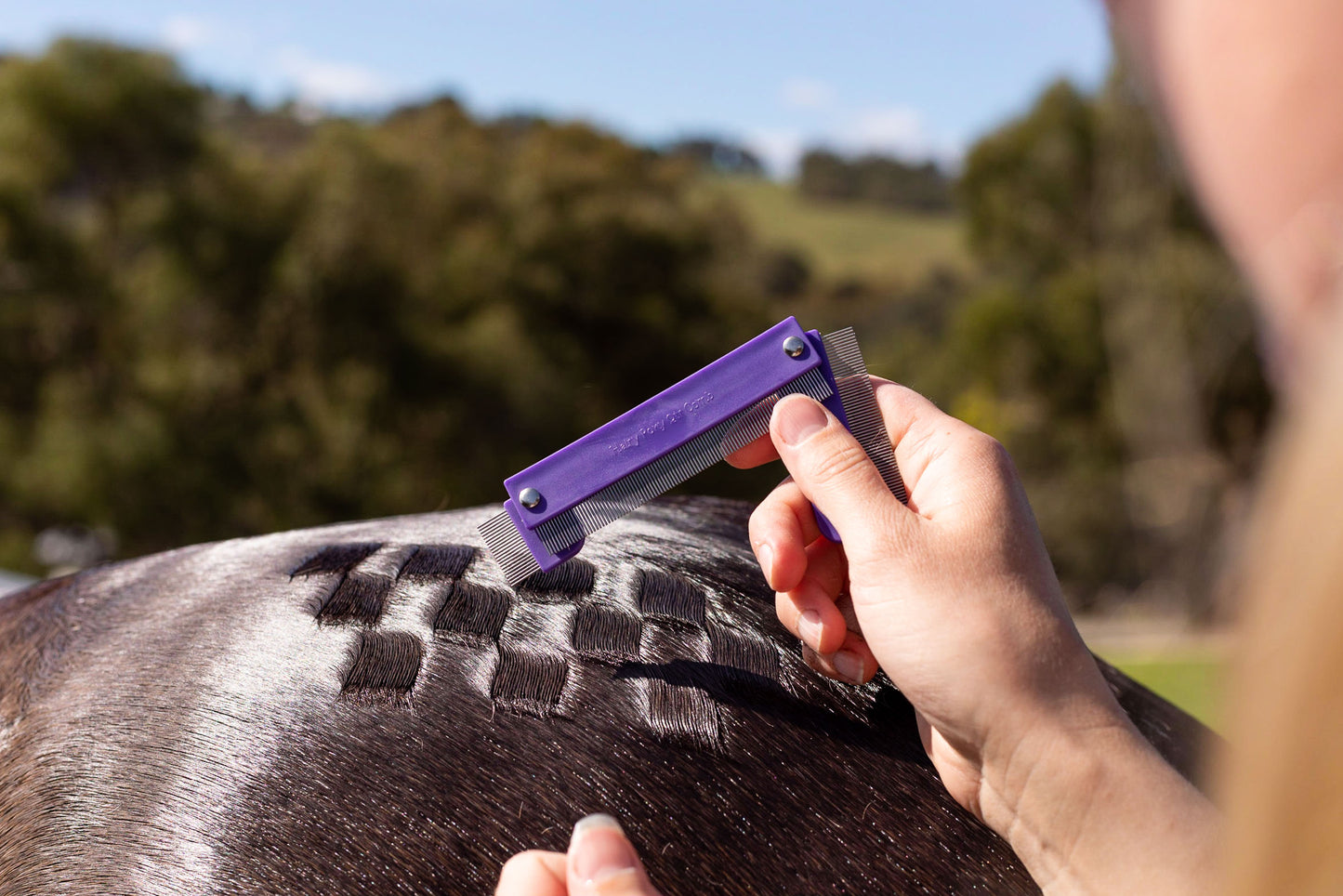 Quarter Mark Horse Comb