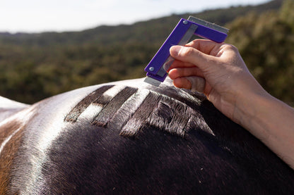 Quarter Mark Horse Comb