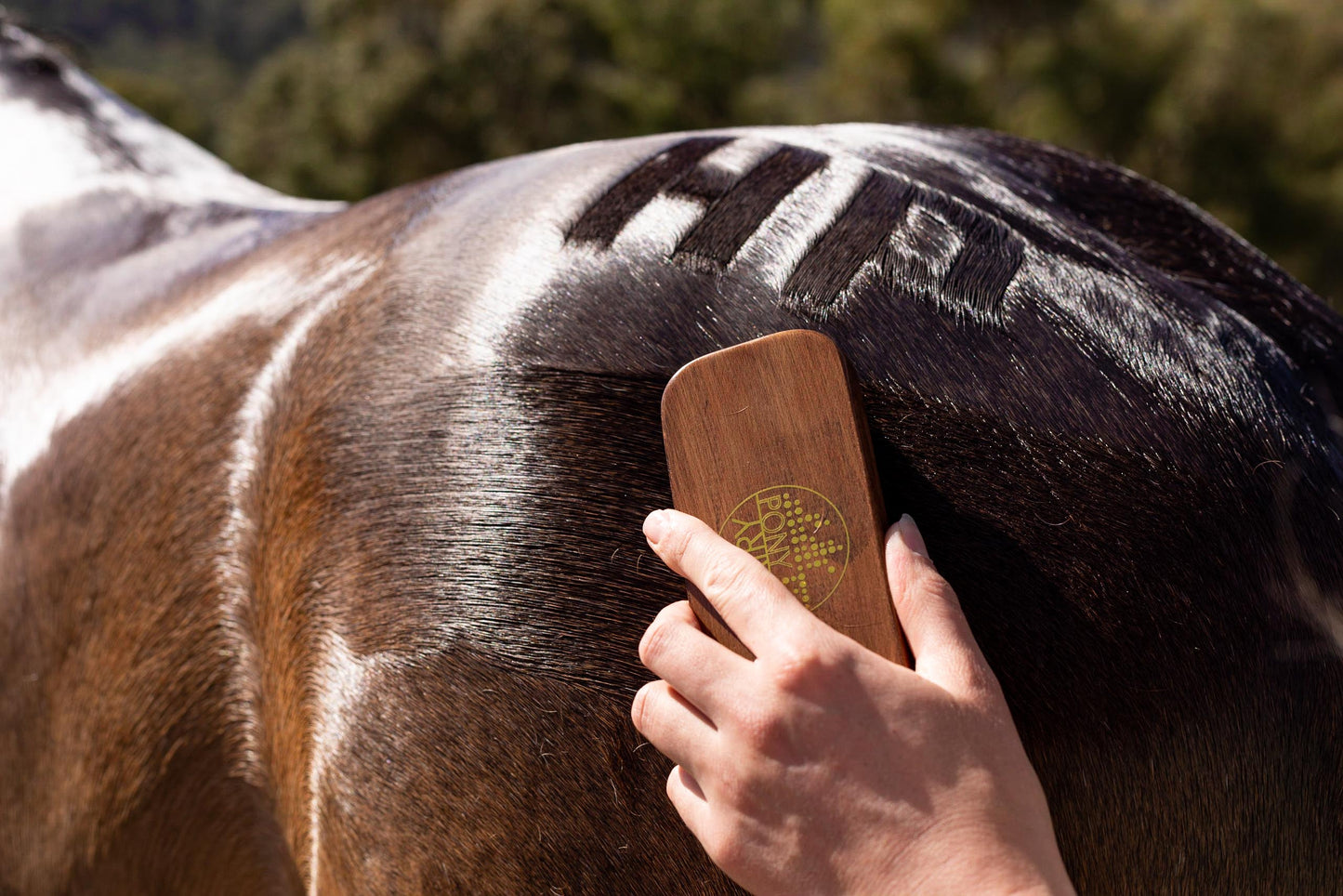 Quarter Mark Horse Brush