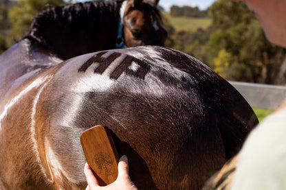 Quarter Mark Horse Brush