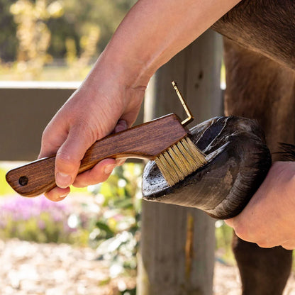 Copper Bristle Wooden Hoof Pick